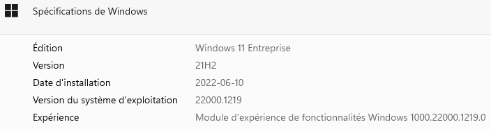 Screenshot of Windows Specifications showing Edition as Windows 11 Enterprise, Version as 21H2, Installation date as 2022-06-10, OS build as 22000.1219, and Experience as Windows Feature Experience Pack 1000.22000.1219.0.