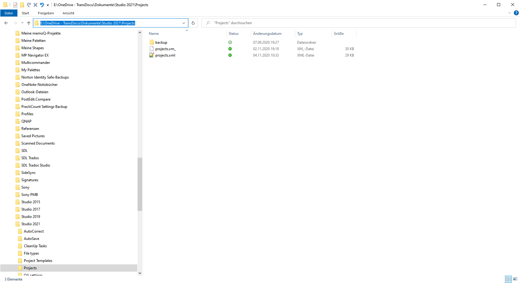 File Explorer window showing the path line 'E:OneDrive - TransDocuDokumenteStudio 2021Projects' highlighted in blue with two XML files listed in the directory.