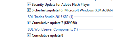 Screenshot showing a list of recent updates including Security Update for Adobe Flash Player, Sicherheitsupdate fur Microsoft Windows (KB4560366), SDL Trados Studio 2015 SR2 Cumulative update 7 (KB9268), and SDL WorldServer Components Cumulative update 8.