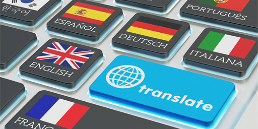 Genie in a Plugin: OpenAI Translator Whispering Translation Revolution