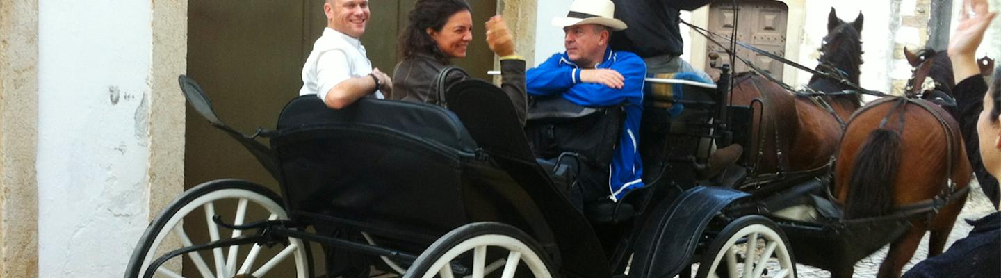 horse and carriage carrying fellow Tridionauts back in 2013