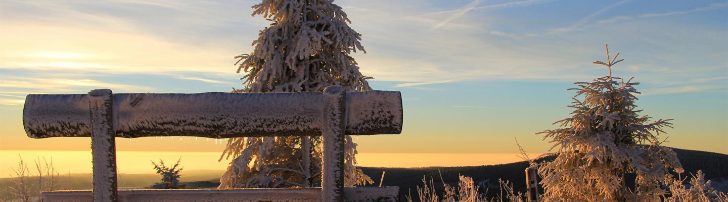 Trados 25.12.1 Release