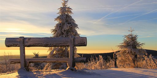 Trados 25.12.1 Release