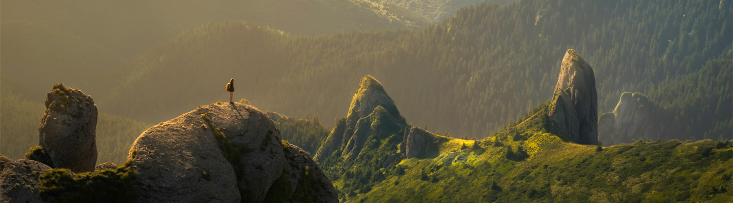 Trados 25.06.1 Release