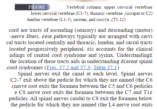 Screenshot of the resultant HTML, also right aligned.