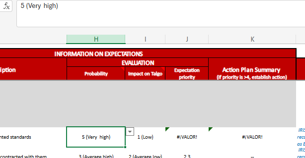 Spreadsheet after translation showing '#VALUE!' errors in columns J and K for 'Expectation priority'.