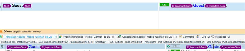 Screenshot of SDL Trados Studio showing a segment with the term 'Guest' surrounded by 'MMI' tags in source file A, left untranslated in the target language as per instructions.
