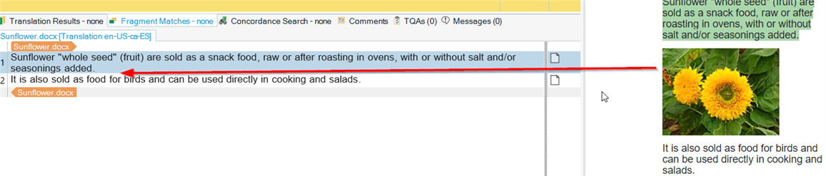Trados Studio interface showing a document translation with a tag representing a hidden picture in the source segment.