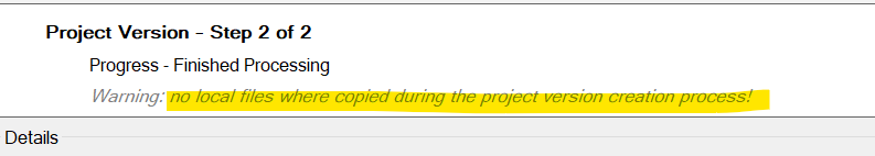 Screenshot showing 'Project Version - Step 2 of 2' with a warning message stating 'no local files were copied during the project version creation process!'