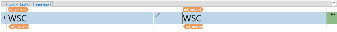 Screenshot of Trados Studio interface showing a segment with the text 'WSC' in both source and target panels, without any visible errors or warnings.