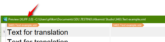 Screenshot showing Trados Studio preview of an XML file using the XLIFF 2.0 template with a red arrow pointing to the file type information.