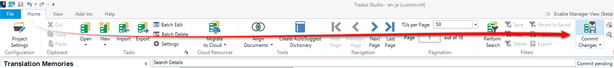 Screenshot showing where the "Commit Changes" icon is in the ribbon of the Translation Memories View.