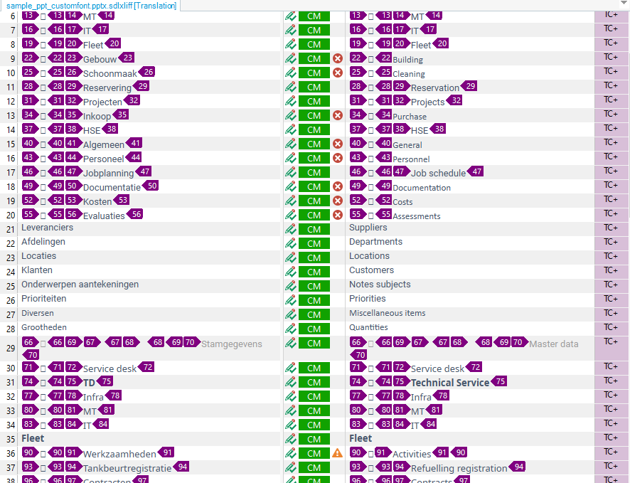 Screenshot showing the tag errors picked up in the translated file.