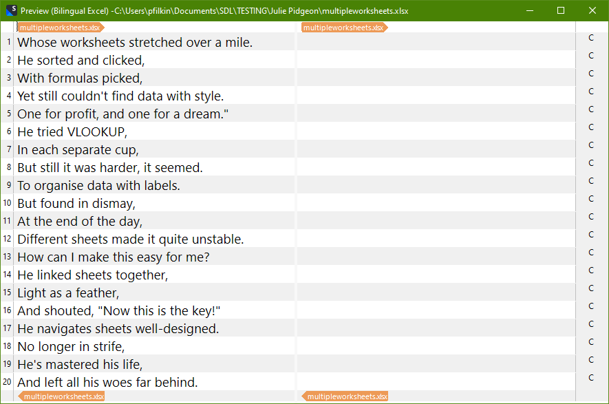 Screenshot showing the preview with the Bilingual Excel filetype.