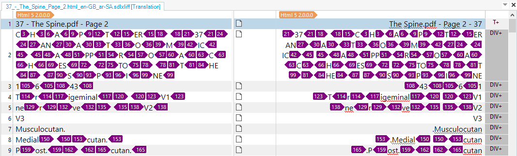 Screenshot showing English source copied to target in an Arabic target so it's all right aligned.