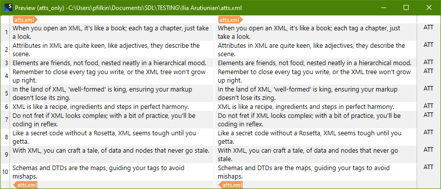 This image displays a preview of the XML file's content within SDL Trados Studio, specifically the translation preview pane. It shows the text elements that are marked as translatable based on the file type settings you showed in the previous image. Each line of the XML content is presented alongside its corresponding translation column, ready for the translator to work on.