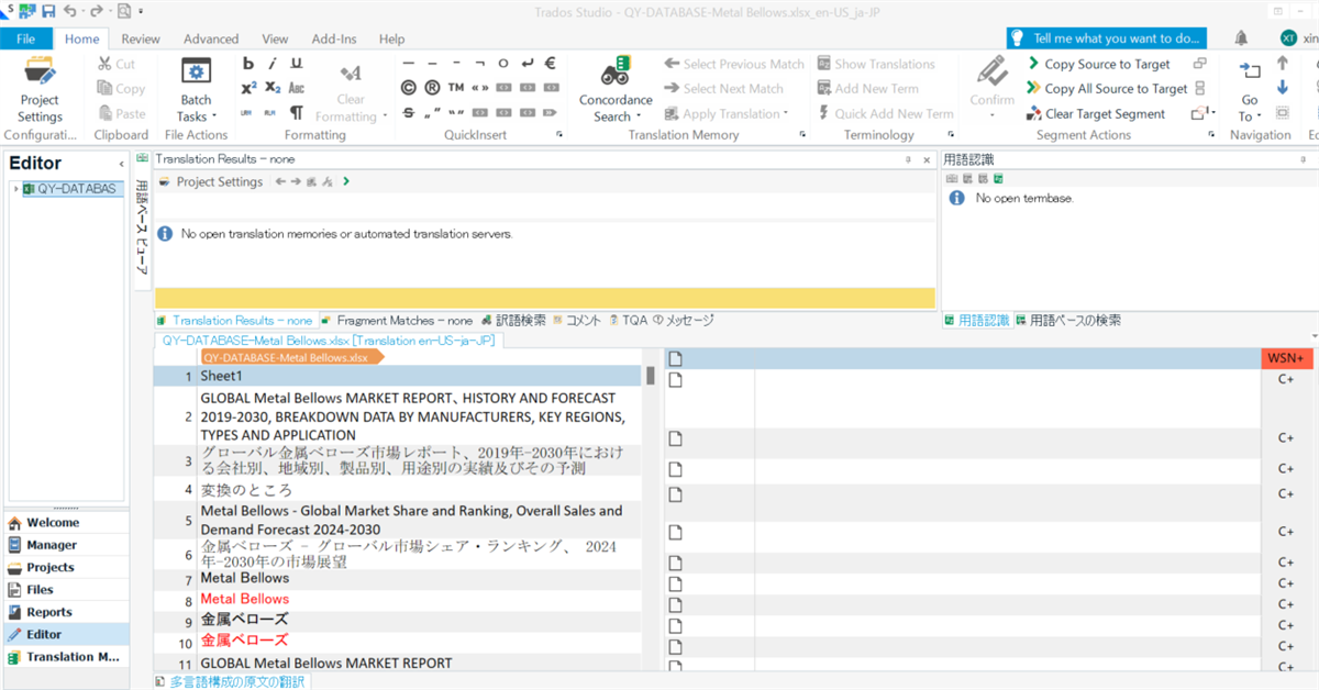 Trados Studio Editor view with an open Excel file 'QY-DATABASE-Metal Bellows.xlsx' showing untranslated content in English and Japanese, with no translation results or term base.