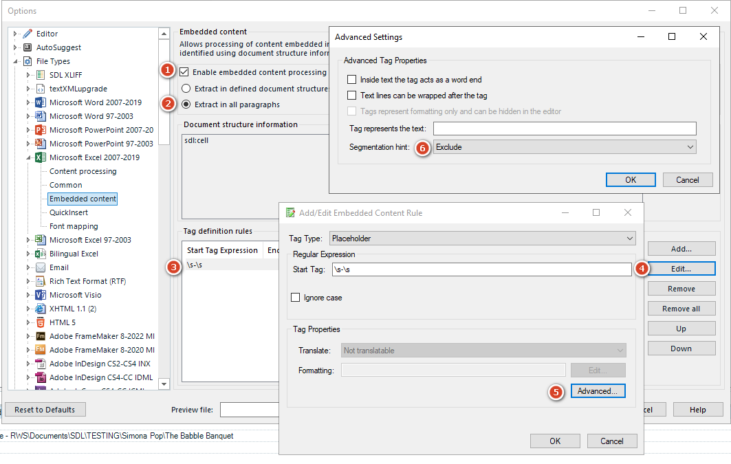 Trados Studio Options dialog showing File Types expanded with Microsoft Excel 2007-2019 selected. Embedded content section is open with 'Enable embedded content processing' checked. A new placeholder rule with expression 's-s' is highlighted. Advanced Settings pane shows 'Exclude' selected for Segmentation hint.