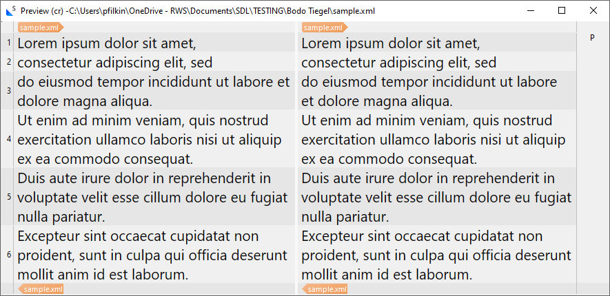 Preview of sample.xml file with two columns of text, each containing Lorem Ipsum placeholder text, displayed in a structured format.