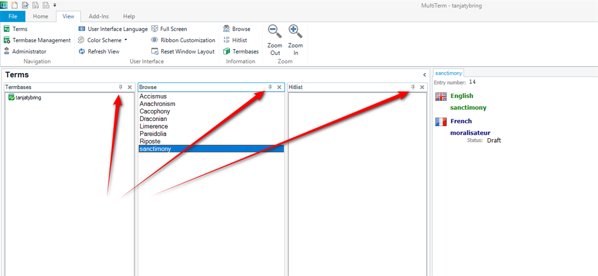 Screenshot showing MultiTerm 2022 with the windows arranged next to each other.