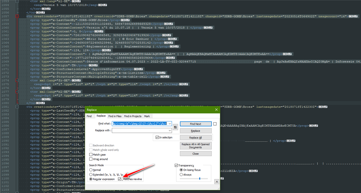 Screenshot showing the expression working in notepad++ with the appropriate option checked.