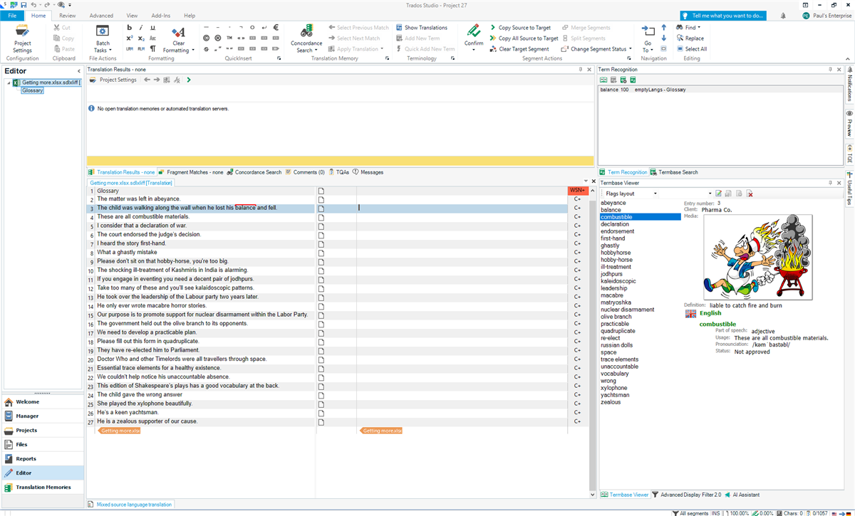 Screenshot of SDL Trados Studio interface showing Editor view with a list of sentences, Term Recognition pane with term 'combustible' highlighted, and TermBase Viewer displaying details for 'combustible'.