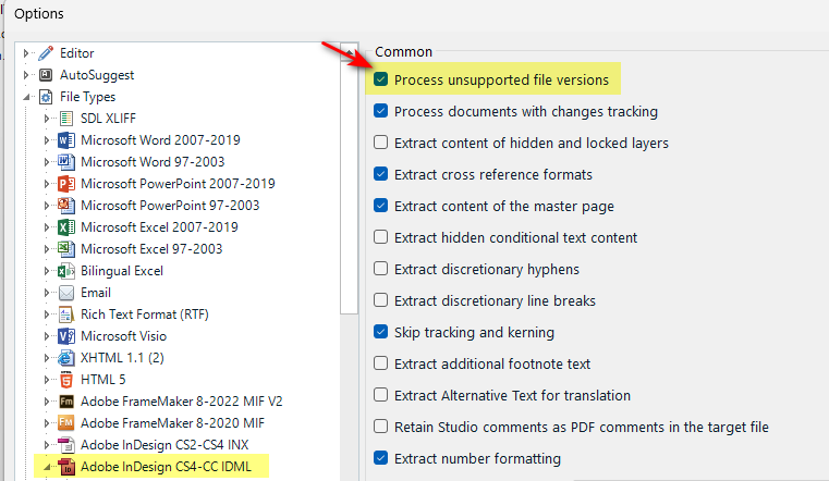 Trados Studio Options dialog with File Types expanded showing Adobe InDesign CS4-CC IDML selected. A red arrow points to the 'Process unsupported file versions' option under the Common section.