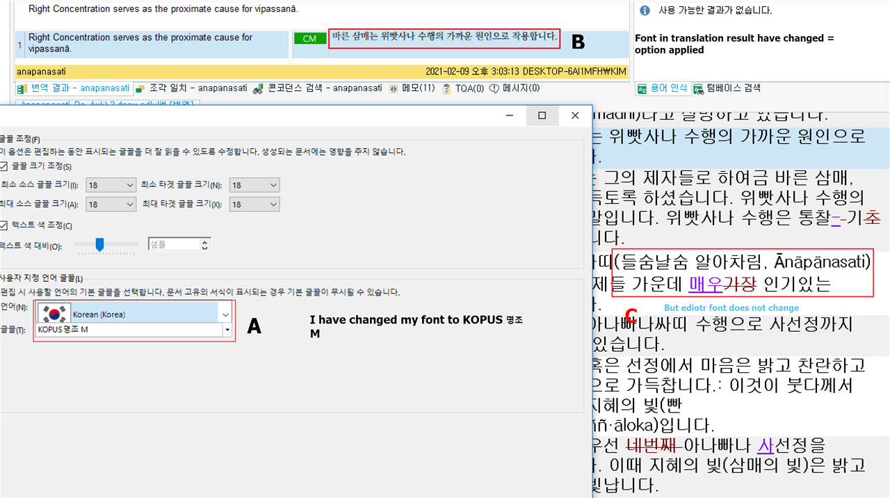 Trados Studio settings window showing 'font adaptation' option with 'Korean (Korea)' selected and 'KOPUS   M' font applied.
