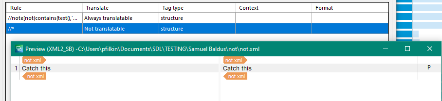Trados Studio screenshot showing translation rules with a preview pane displaying 'Catch this' and file path 'C:UserspflikinDocumentsSDLTESTINGSamuel Baldusnotnot.xml'.