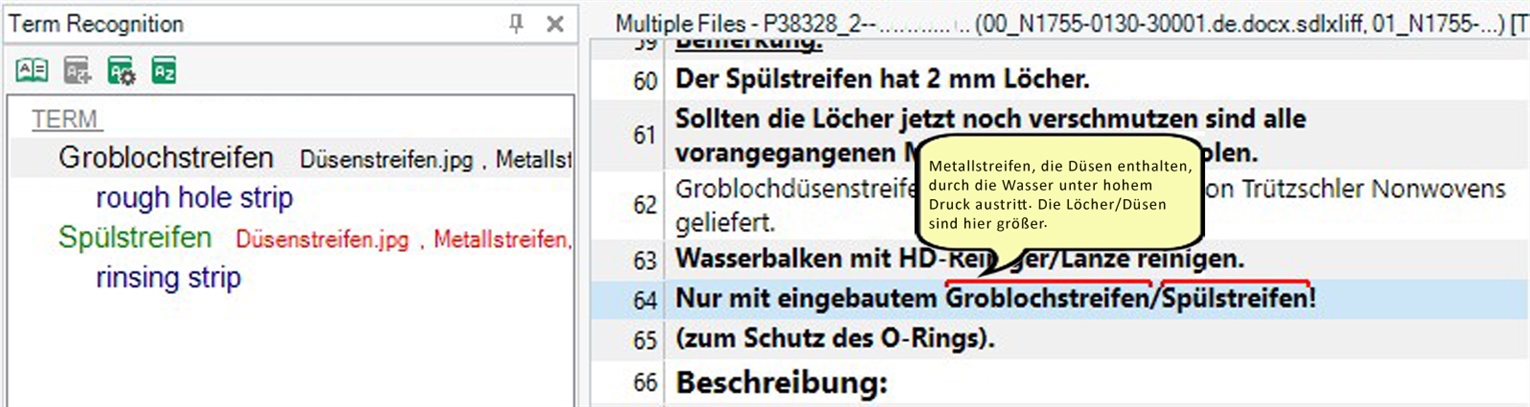 Screenshot of Trados Studio showing term recognition pane with terms 'Groblochstreifen' and 'Sp lstreifen' alongside their translations 'rough hole strip' and 'rinsing strip'. Editor pane shows highlighted term 'Sp lstreifen' in the text.