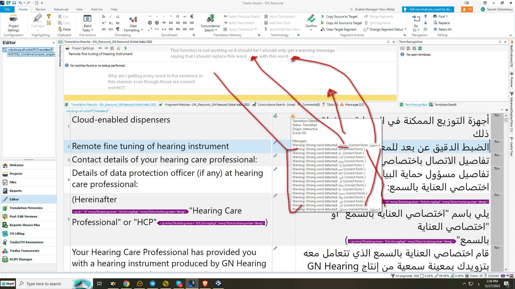 Screenshot of Trados Studio Ideas with multiple warning messages about wrong word detected. User comment indicates function is not working correctly and should only show one warning message.