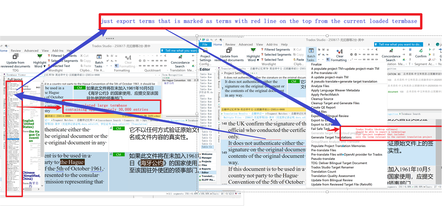 Screenshot of Trados Studio interface showing a termbase viewer with a red box highlighting a full layout and a red line marking terms to export.