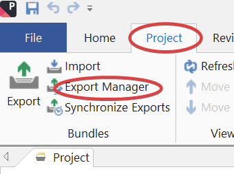 Screenshot of the Passolo interface showing the 'Project' tab selected. The 'Export' and 'Export Manager' buttons are circled in red.