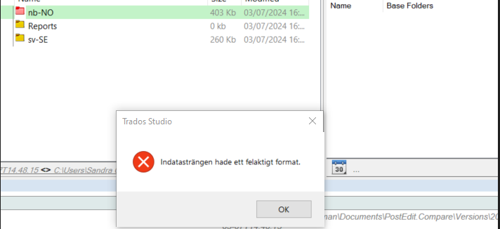 Error message in Trados Studio stating 'Indatastrangen hade ett felaktigt format' with an 'OK' button, indicating an incorrect format string issue.