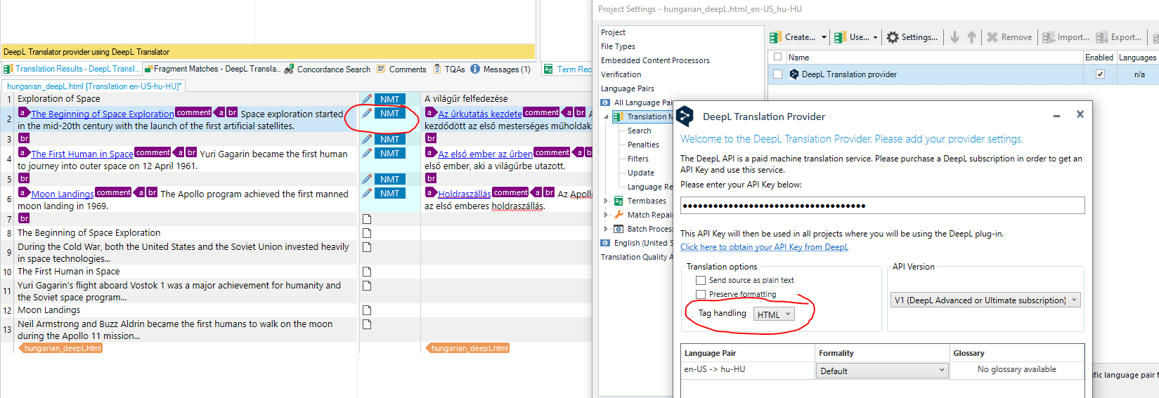 Screenshot of a translation software interface showing segments of text in English and their Hungarian translations. Each segment is labeled with 'NMNT'.