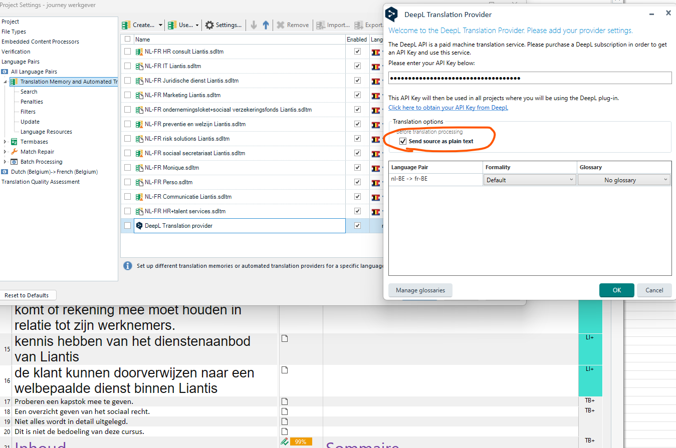 Screenshot of RWS AppStore Applications settings with DeepL Translation Provider configuration window open, showing options to enter API Key and translation settings.