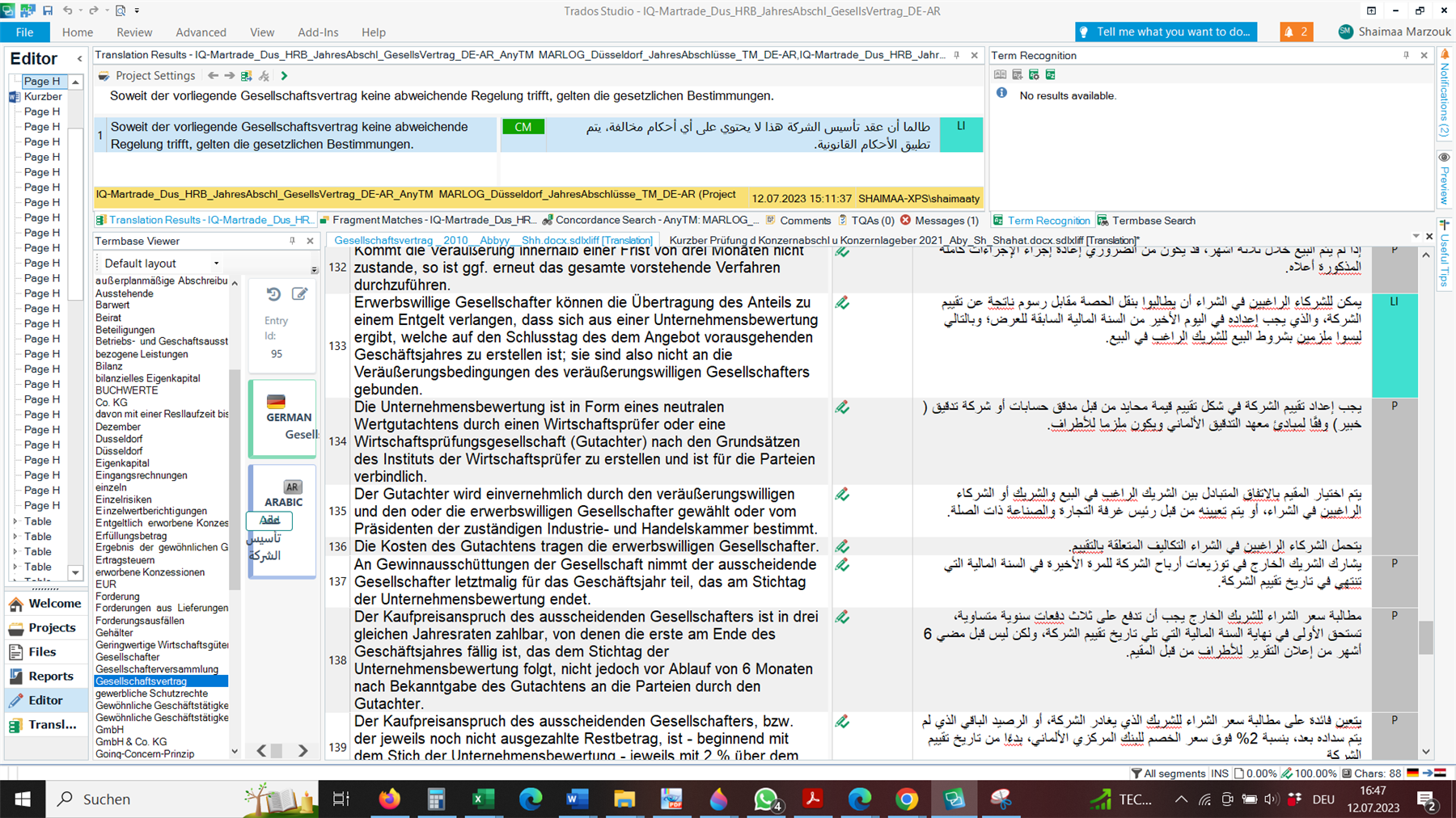 Screenshot of Trados Studio Editor with a segment open showing no term recognition despite the term being visible in the connected Termbase Viewer.