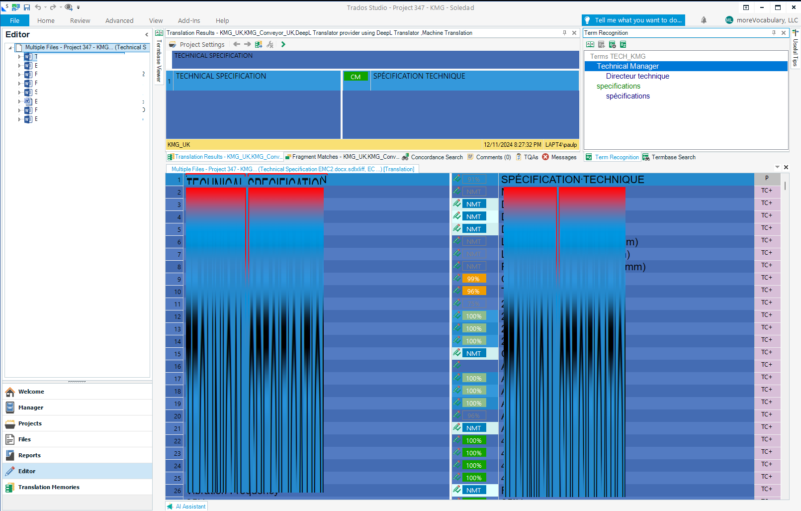 Screenshot of Trados Studio software with a visual glitch displaying distorted and stretched content in the Editor pane.