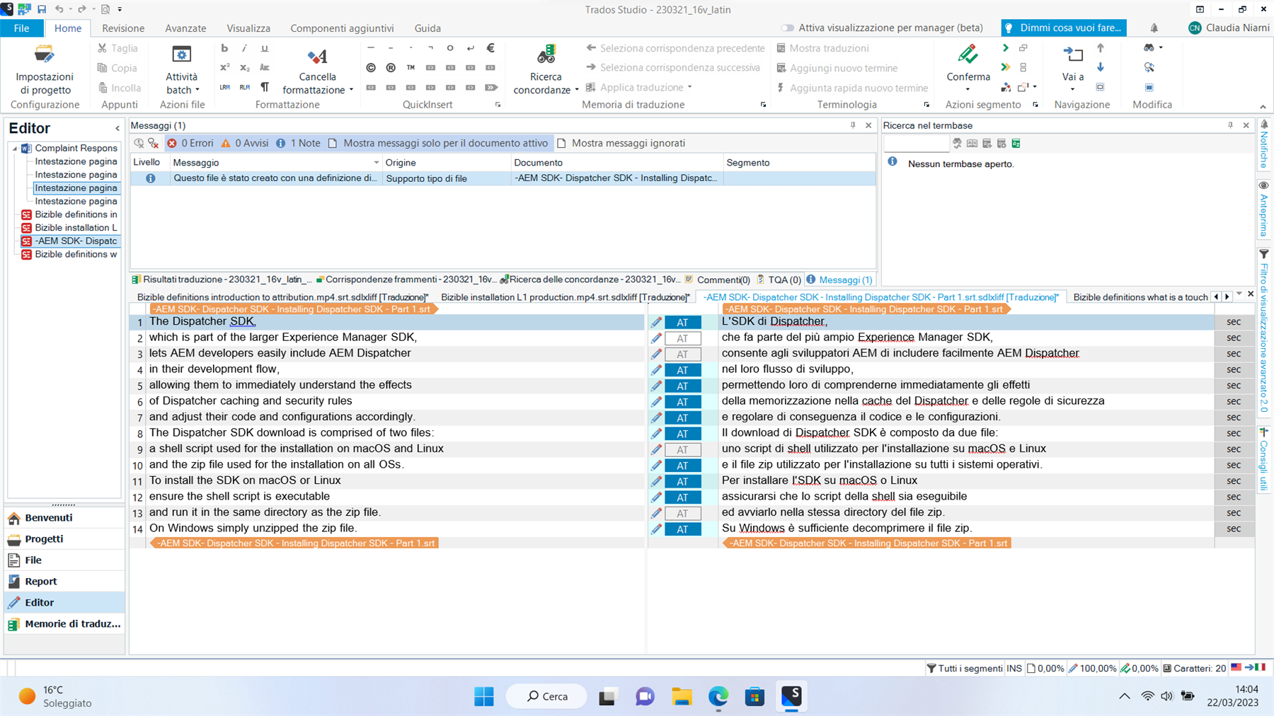 Trados Studio interface with an error message 'Supporto tipo di file' indicating an issue with file type support. The Editor pane shows a translation project with English and Italian text.
