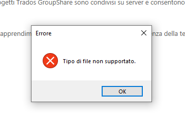 Error dialog box in Trados Studio with a red 'X' icon, stating 'Tipo di file non supportato' which translates to 'File type not supported.' with an 'OK' button.