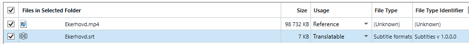 Screenshot of a project file list with an 'mp4' video file set as 'Reference' and an 'srt' subtitle file set as 'Translatable'.