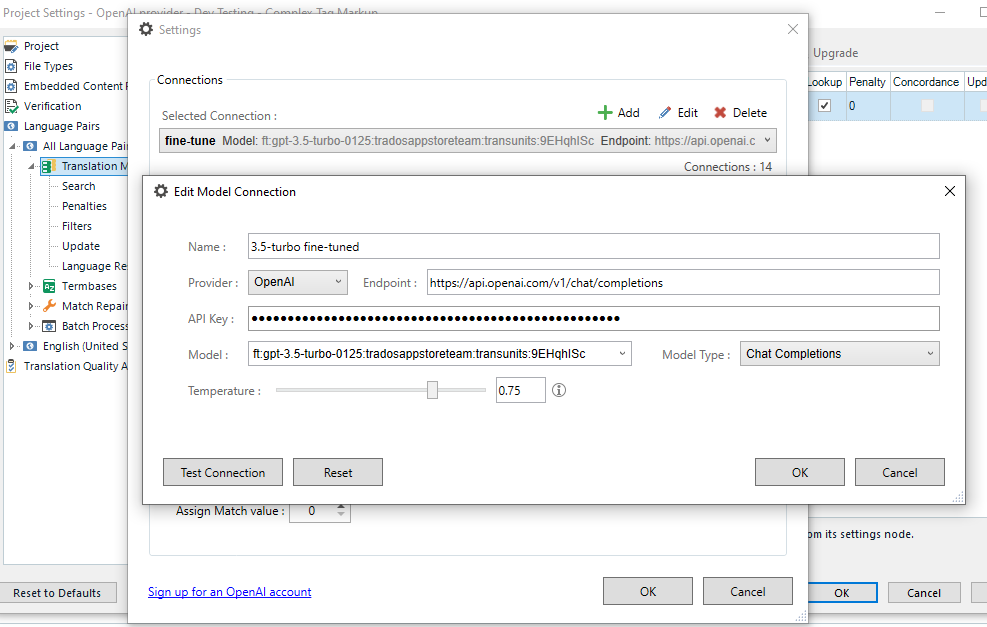 Screenshot of a settings dialog box in a software application with fields for Name, Provider, Endpoint, API Key, and Model, including a fine-tuned model identifier.