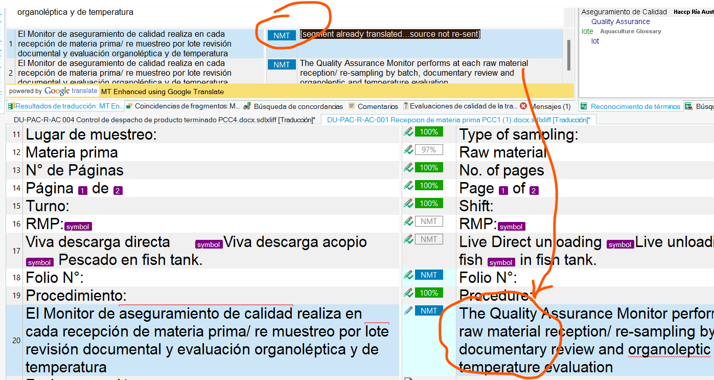 Screenshot of Trados Studio showing a translation segment with a Google NMT error message 'segment already translated...source not re-sent' and the Cloud translation displayed as the official translation in the results window.