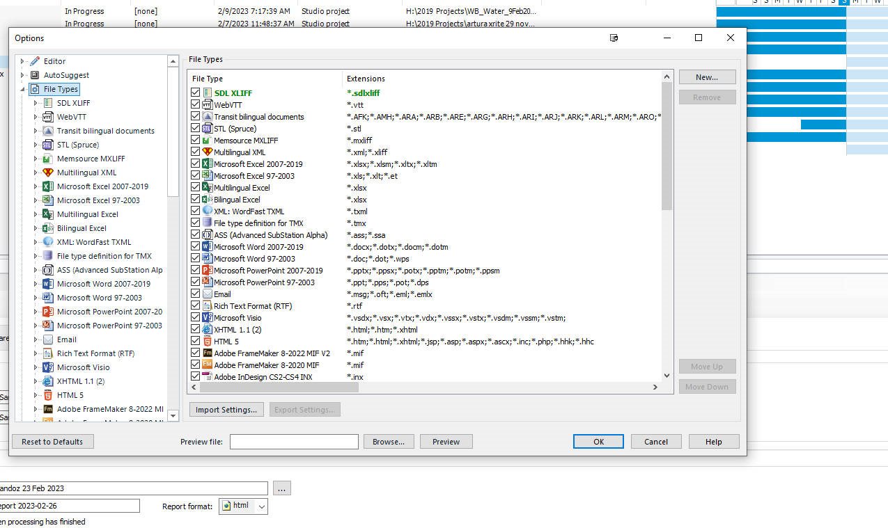 Trados Studio file types settings showing a list of file types including 'Microsoft Excel 2007-2019' and 'Multilingual Excel'.