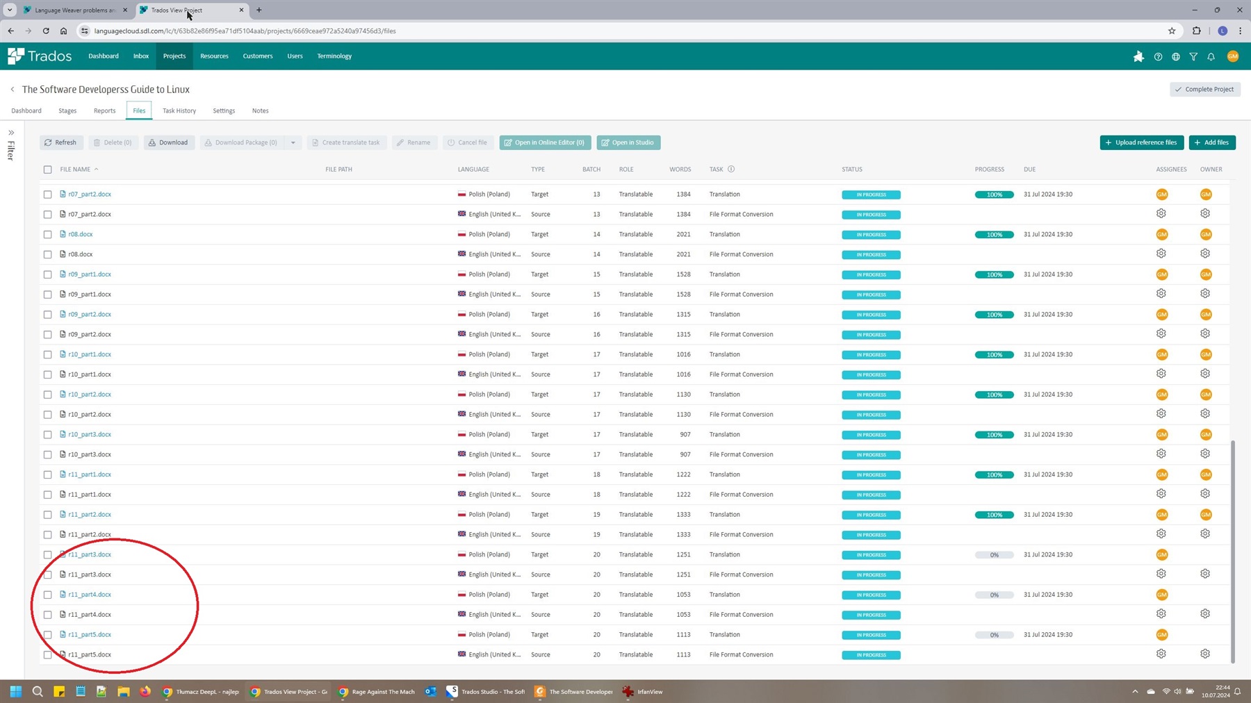 Screenshot of Trados View Project page showing a list of files with their status. Multiple files are circled, indicating an issue with their upload or status update.