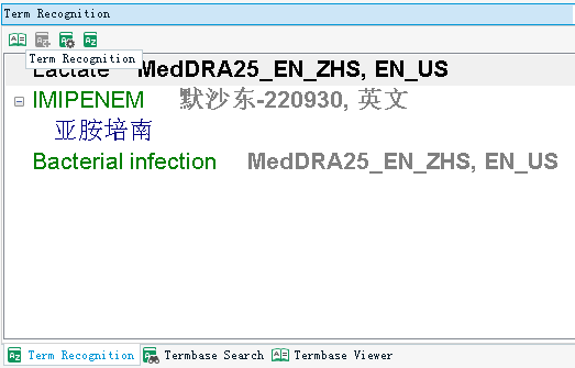 Screenshot of Trados Studio term recognition window showing the term 'IMIPENEM' with its source language but missing target language translation.