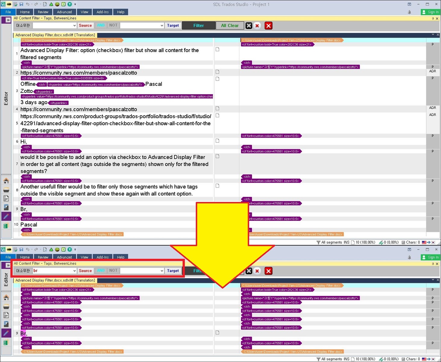 Screenshot of Trados Studio interface showing a forum discussion about Advanced Display Filter with no segment numbers or filtering options visible.