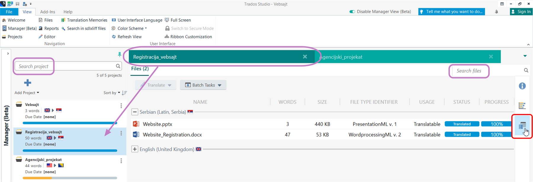 Trados Studio interface showing Manager view with projects and files, separate search fields, and statistics buttons encircled in red.