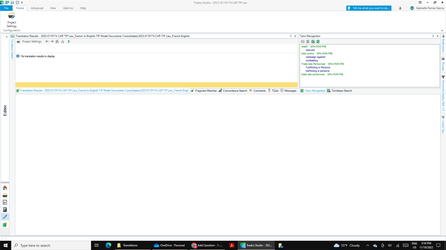 Trados Studio screenshot showing an empty editor window with no text displayed. The 'Translation Results' pane indicates 'No translation results to display.'