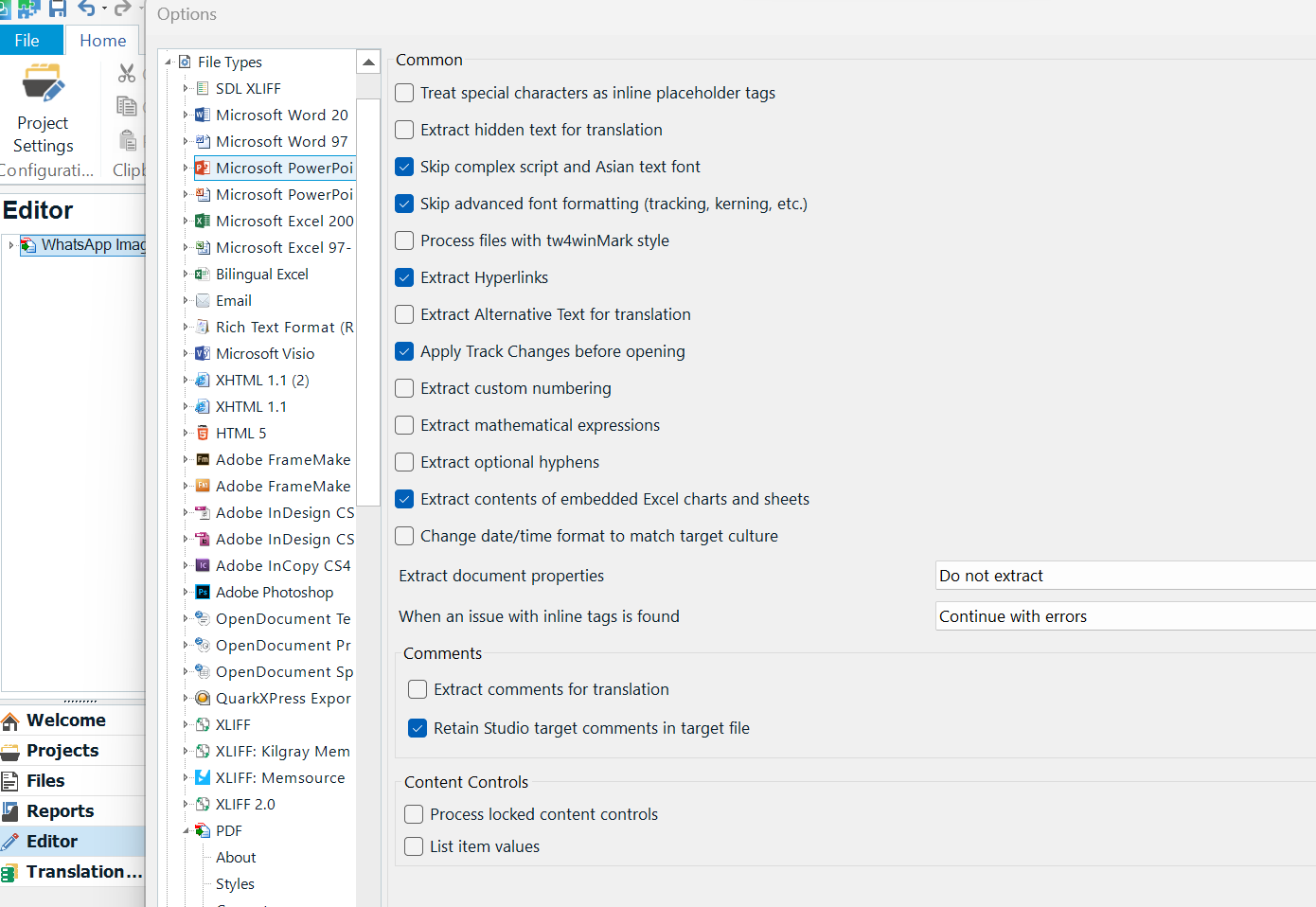 Trados Studio 2021 SR2 options menu with File Types selected, showing PDF settings with all necessary boxes ticked under Common section.
